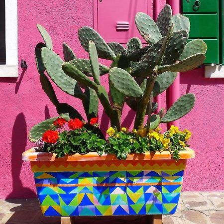 Night Galleria Holiday Home - Bed & Art In Burano - The Pink House Экстерьер фото